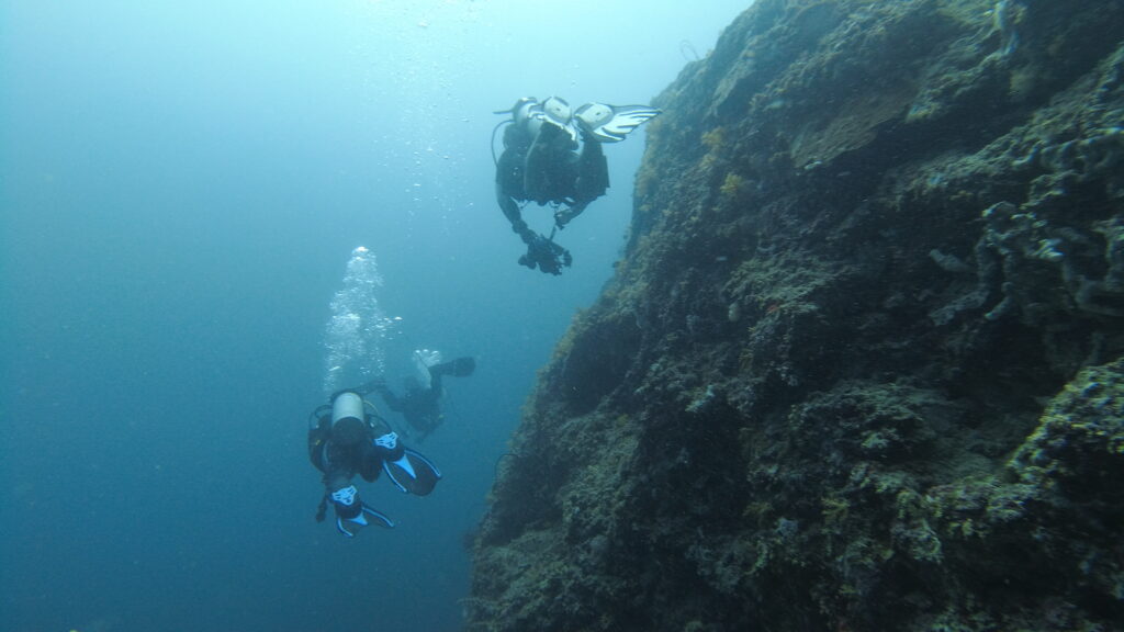 2 scuba divers