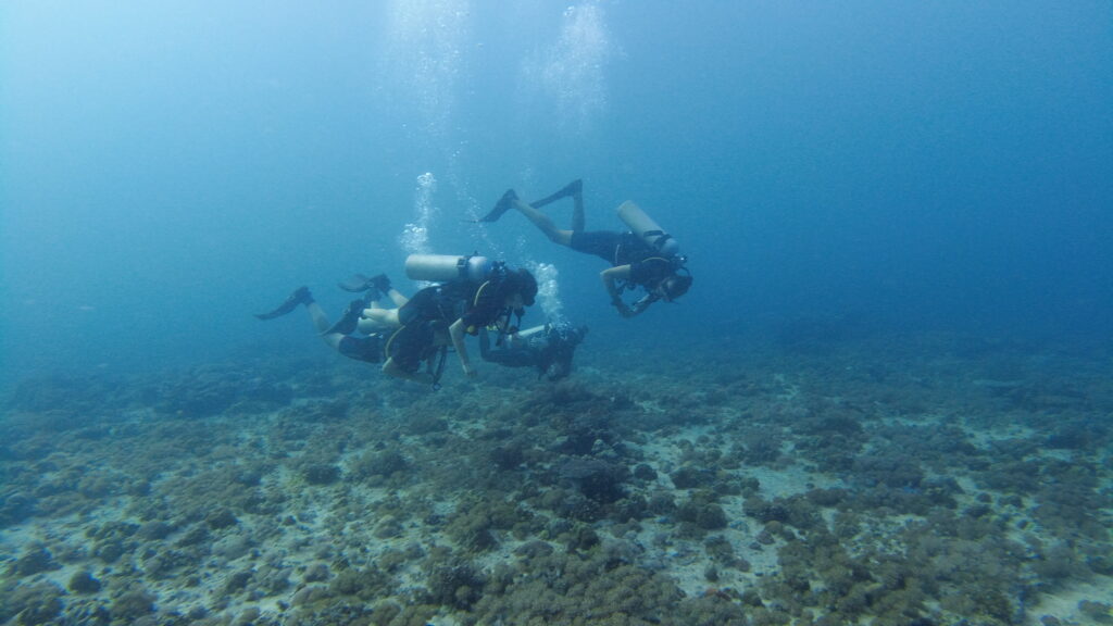 4 divers at the bottom of the sea.