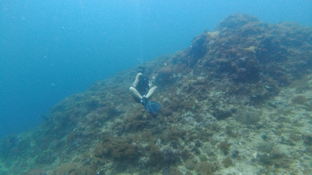 SCUBA divers underwater