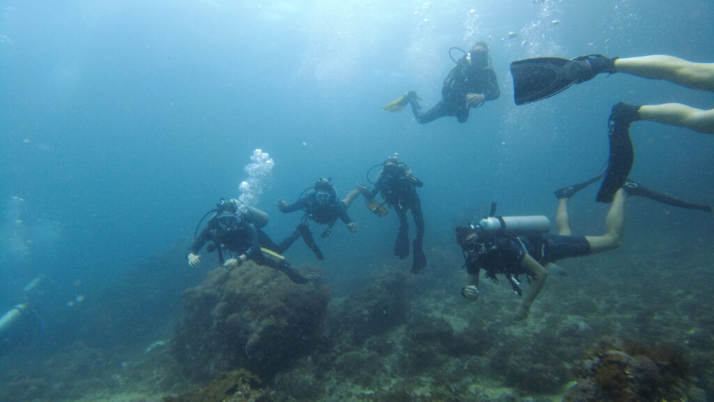 SCUBA divers underwater