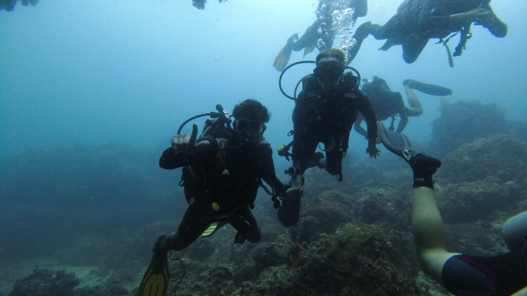 SCUBA divers underwater