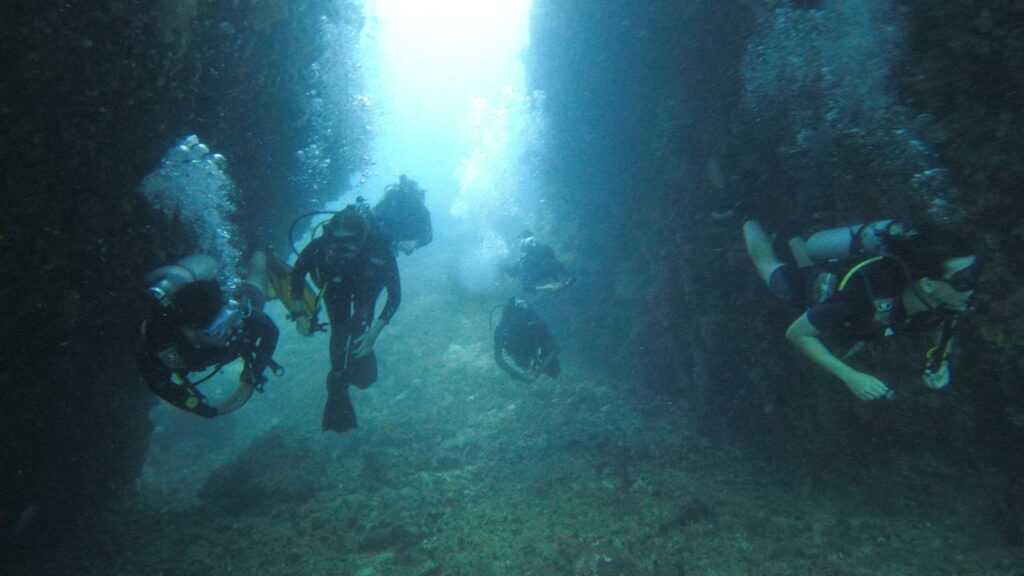 SCUBA divers underwater