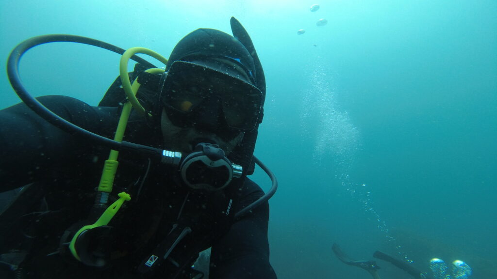 SCUBA divers underwater