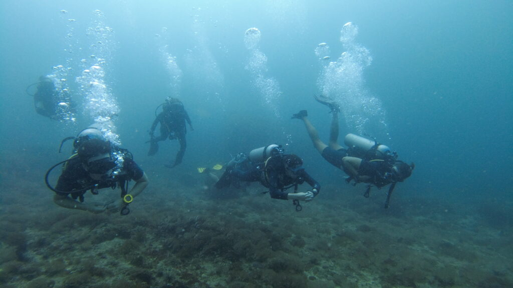 SCUBA divers underwater