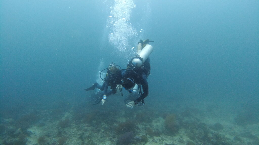 SCUBA divers underwater