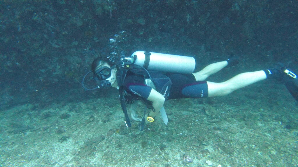 SCUBA divers underwater