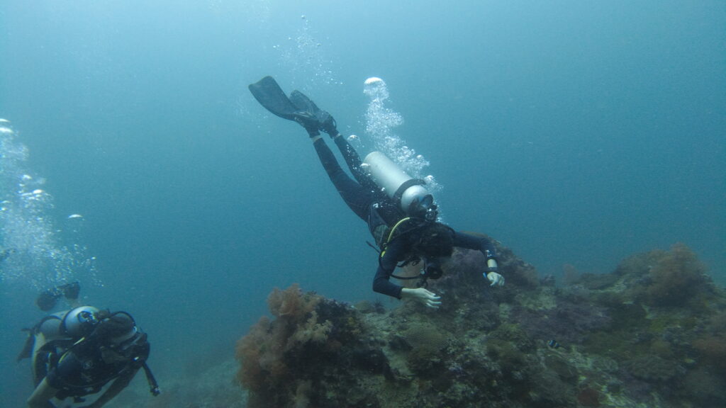 SCUBA divers underwater