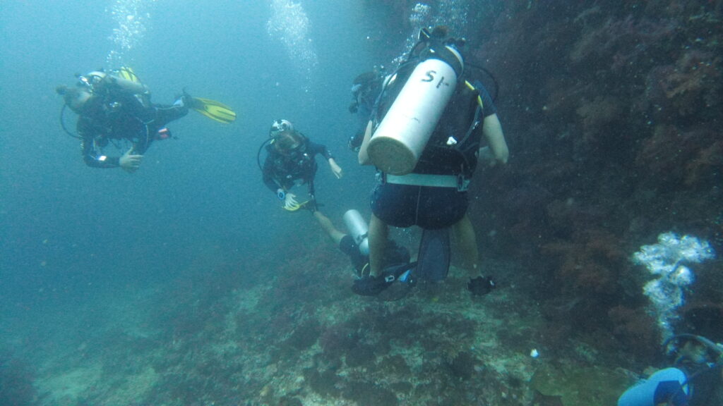 SCUBA divers underwater