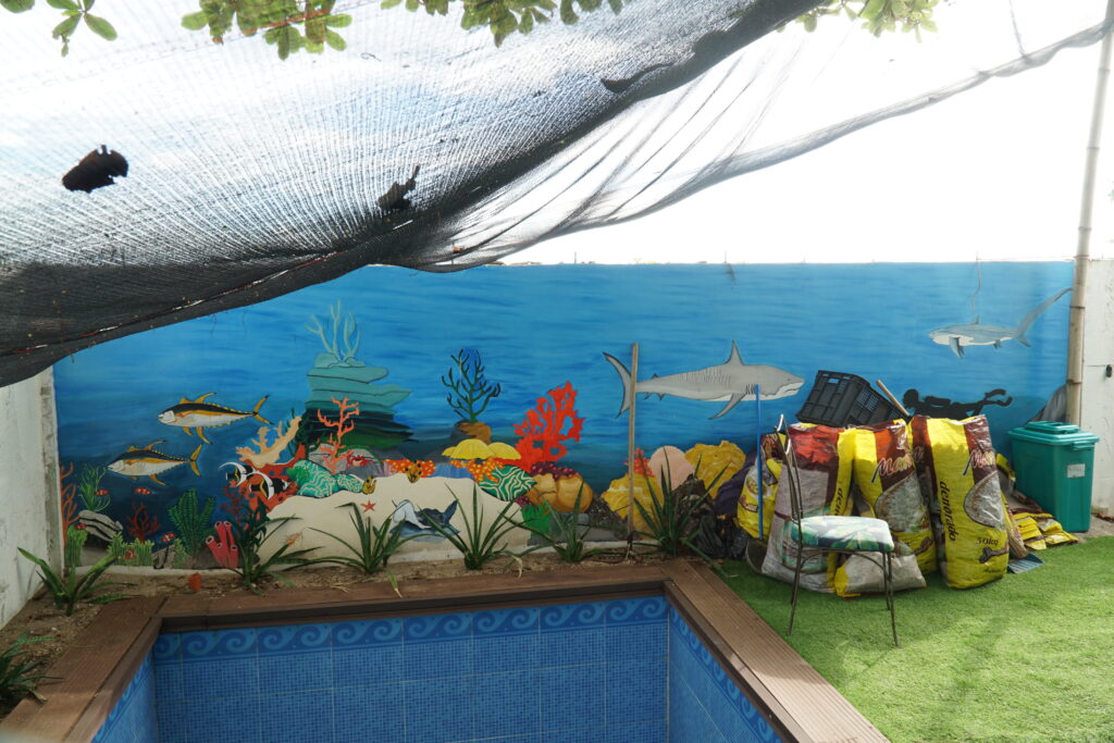 a wall with mural paintings.