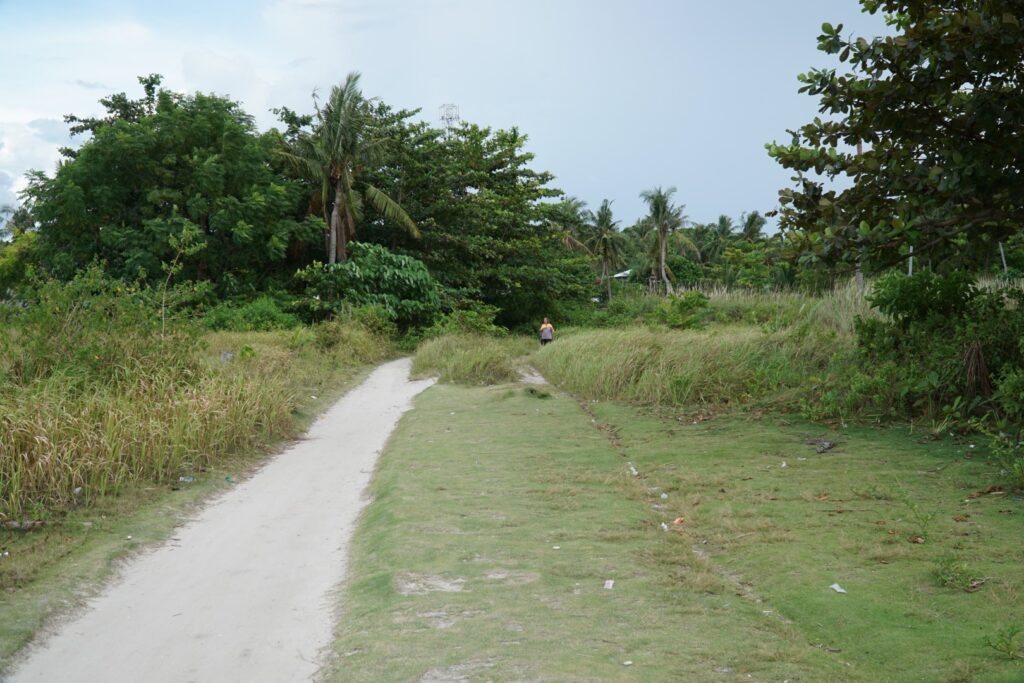 a narrow road with green bushes on a side.