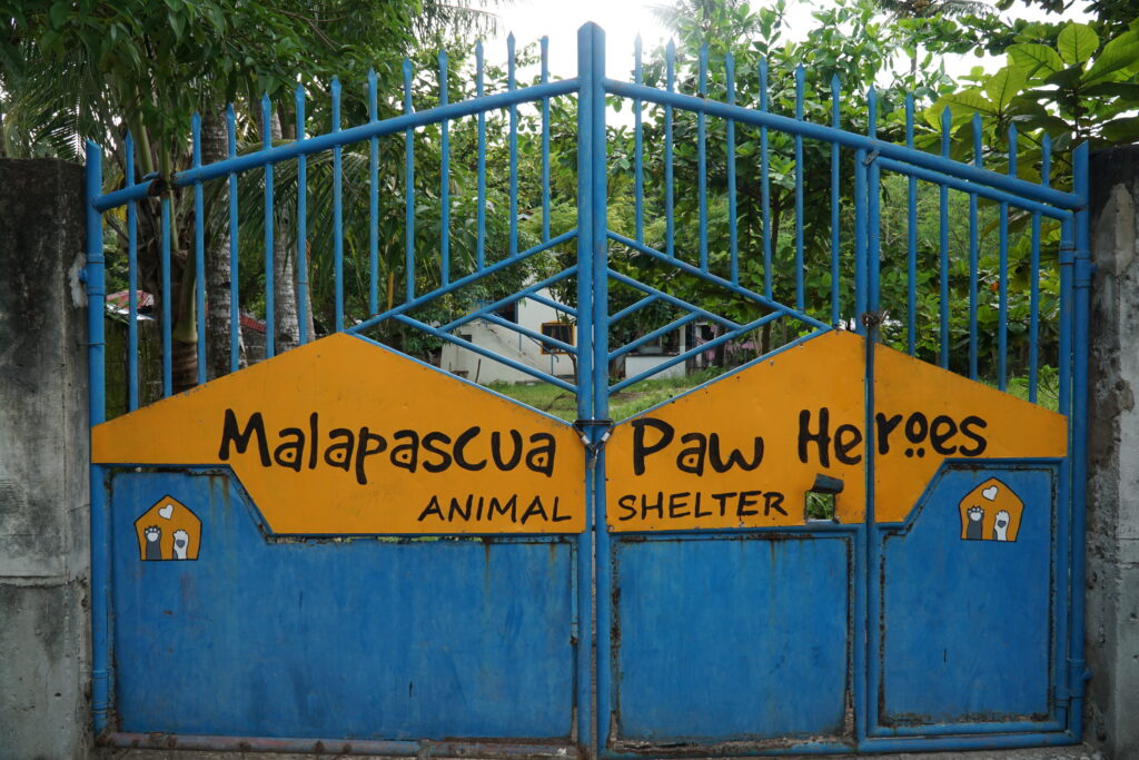 a blue and yellow gate that have malapascua paw heroes on it