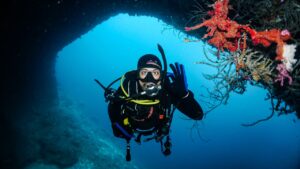 scuba diver
