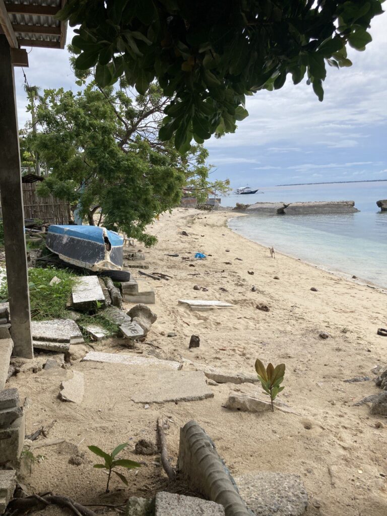 A shoreline in front of the shop