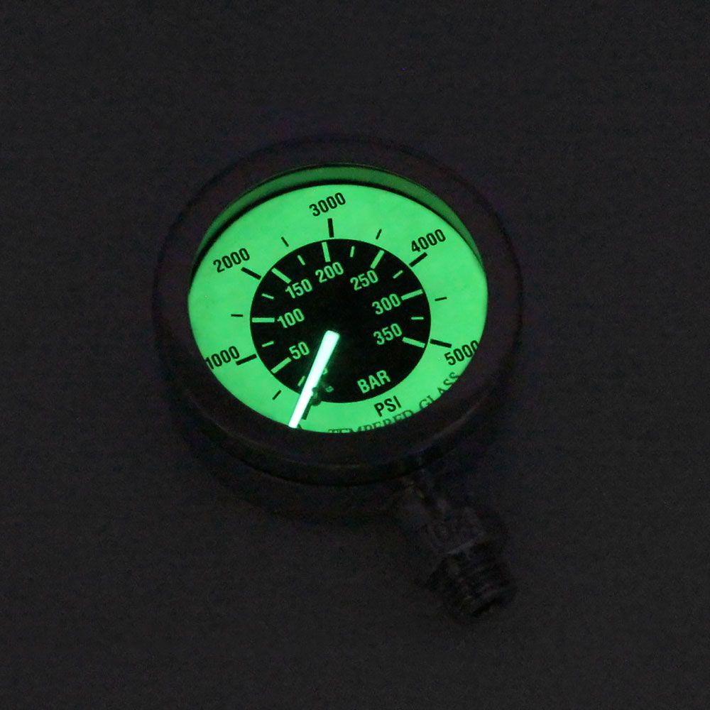 submersible pressure gauge