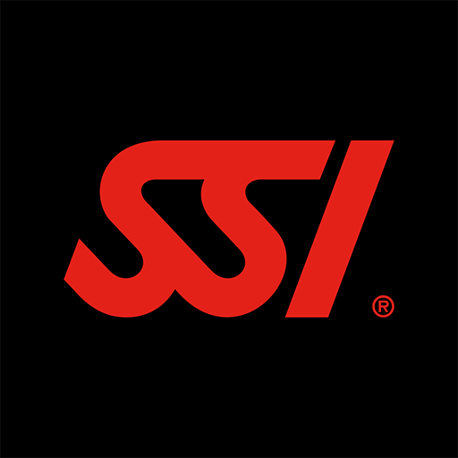 ssi logo