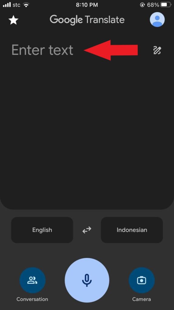 text are of google translate app.