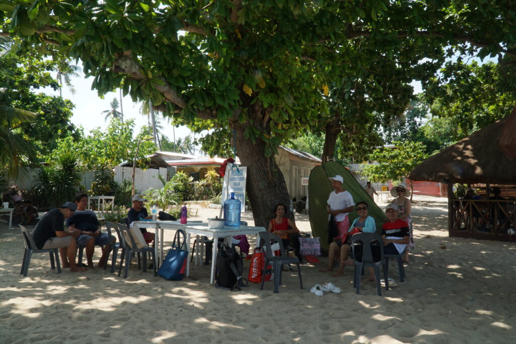People at the beach under the shade of a tree.
