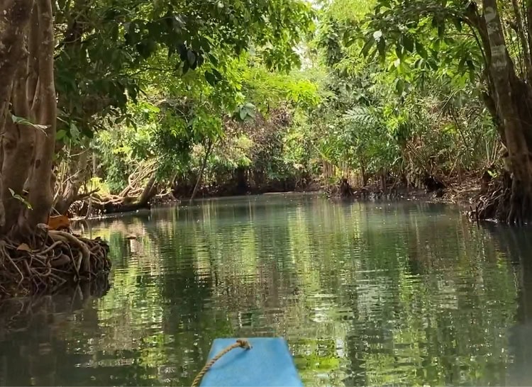 maasin river siargao